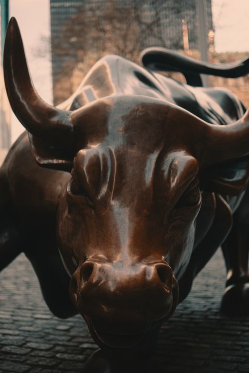 My Investment Framework for the 2021 Crypto Bull Run